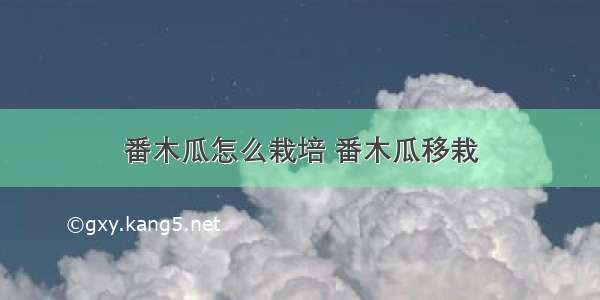 番木瓜怎么栽培 番木瓜移栽