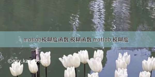 matlab模糊度函数 模糊函数 matlab 模糊度