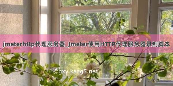 jmeterhttp代理服务器_Jmeter使用HTTP代理服务器录制脚本