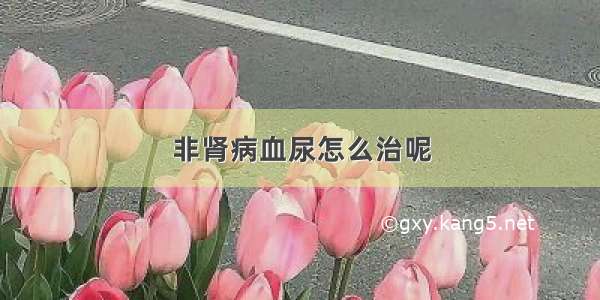 非肾病血尿怎么治呢