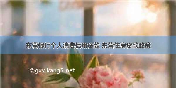 东营银行个人消费信用贷款 东营住房贷款政策