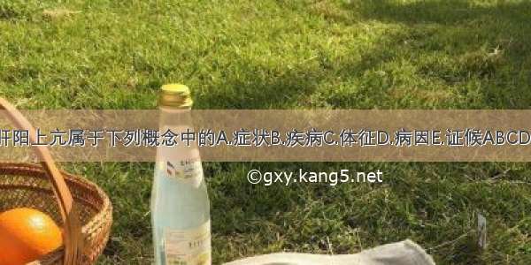 肝阳上亢属于下列概念中的A.症状B.疾病C.体征D.病因E.证候ABCDE