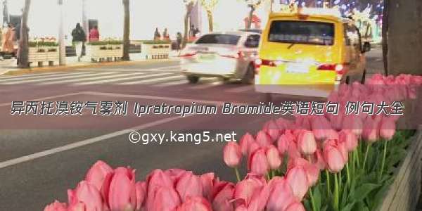 异丙托溴铵气雾剂 Ipratropium Bromide英语短句 例句大全