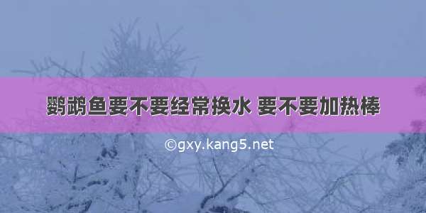 鹦鹉鱼要不要经常换水 要不要加热棒