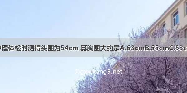 11岁小儿 体格发育正常 护理体检时测得头围为54cm 其胸围大约是A.63cmB.55cmC.53cmD.50cmE.48cmABCDE