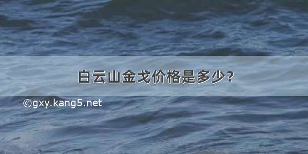 白云山金戈价格是多少？