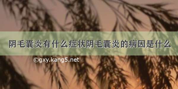 阴毛囊炎有什么症状阴毛囊炎的病因是什么