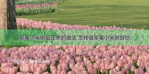 苹果小米粥最正宗的做法 怎样做苹果小米粥好吃