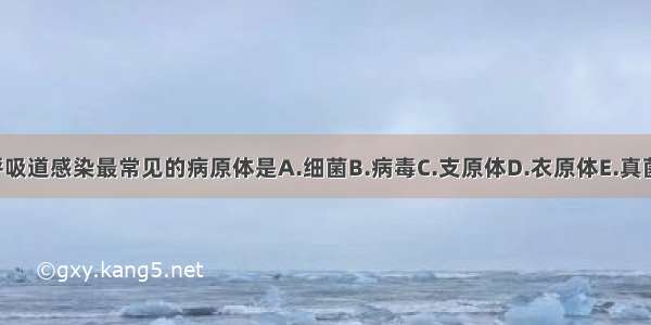 小儿上呼吸道感染最常见的病原体是A.细菌B.病毒C.支原体D.衣原体E.真菌ABCDE