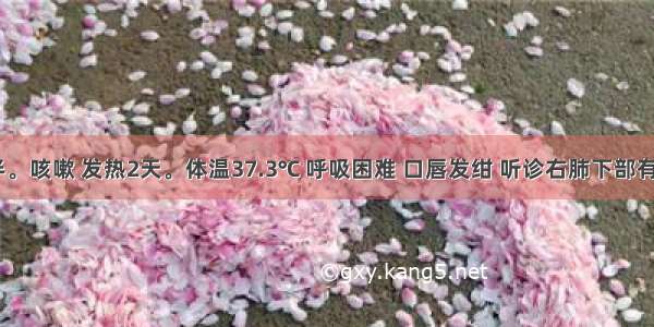 女 3岁半。咳嗽 发热2天。体温37.3℃ 呼吸困难 口唇发绀 听诊右肺下部有湿啰音。