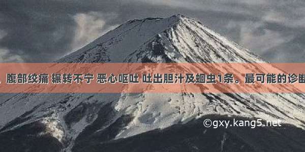 患儿 5岁。腹部绞痛 辗转不宁 恶心呕吐 吐出胆汁及蛔虫1条。最可能的诊断是A.蛔厥