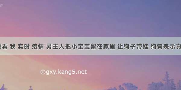 刷新 翻看 我 实时 疫情 男主人把小宝宝留在家里 让狗子带娃 狗狗表示真的心累