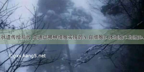 双亲的性状遗传给后代 是通过哪种细胞实现的A.白细胞B.体细胞C.细胞D.生殖细胞