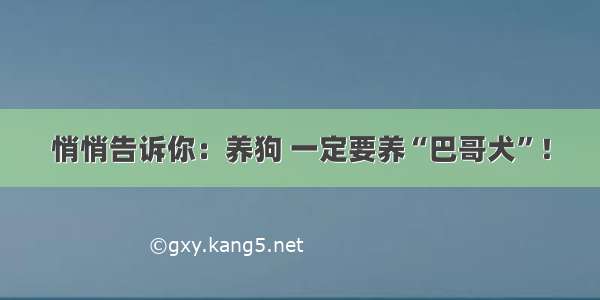 悄悄告诉你：养狗 一定要养“巴哥犬”！