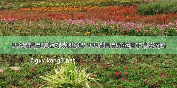 999感冒灵颗粒可以退烧吗 999感冒灵颗粒属于消炎药吗