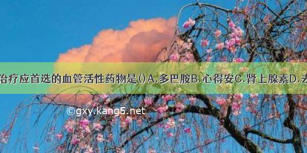 心源性休克 治疗应首选的血管活性药物是()A.多巴胺B.心得安C.肾上腺素D.去甲肾上腺素