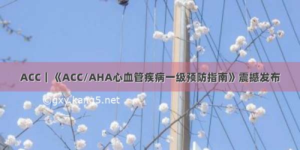 ACC｜《ACC/AHA心血管疾病一级预防指南》震撼发布