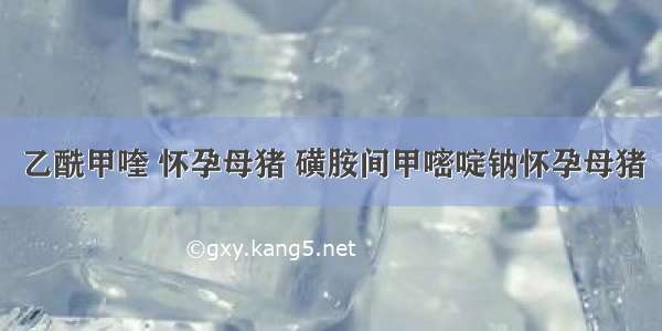 乙酰甲喹 怀孕母猪 磺胺间甲嘧啶钠怀孕母猪