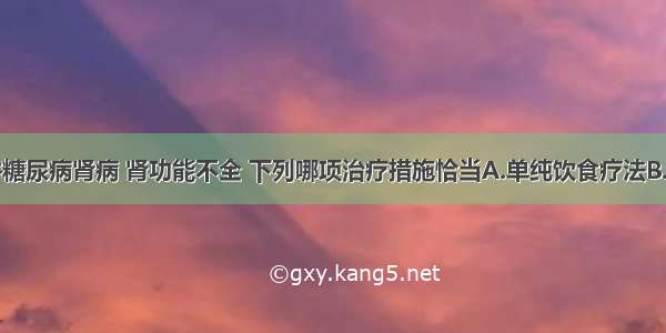 糖尿病合并糖尿病肾病 肾功能不全 下列哪项治疗措施恰当A.单纯饮食疗法B.二甲双胍C.