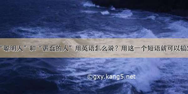 “聪明人”和“愚蠢的人”用英语怎么说？用这一个短语就可以搞定