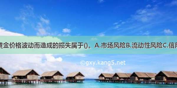 商业银行因黄金价格波动而造成的损失属于()。A.市场风险B.流动性风险C.信用风险D.操作