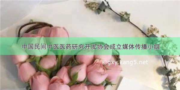 中国民间中医医药研究开发协会成立媒体传播小组