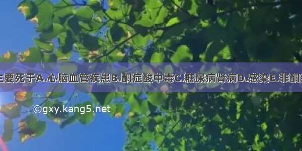 该型糖尿病主要死于A.心脑血管疾患B.酮症酸中毒C.糖尿病肾病D.感染E.非酮症糖尿病高渗