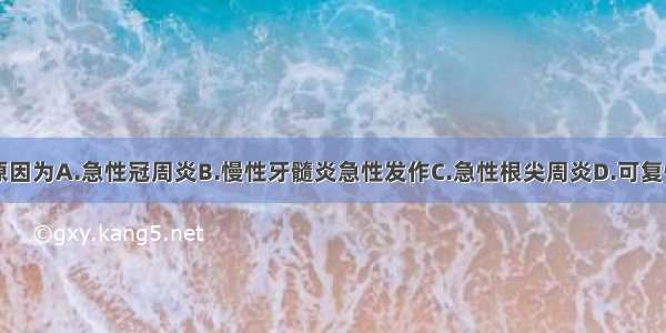 引起疼痛的原因为A.急性冠周炎B.慢性牙髓炎急性发作C.急性根尖周炎D.可复性牙髓炎E.慢