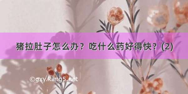 猪拉肚子怎么办？吃什么药好得快？(2)