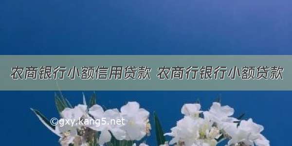 农商银行小额信用贷款 农商行银行小额贷款