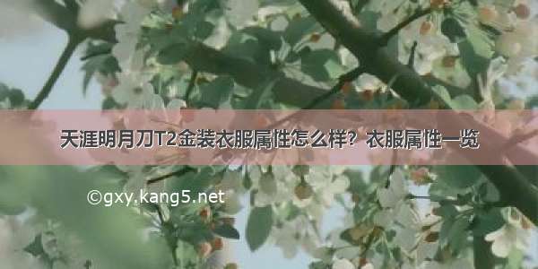 天涯明月刀T2金装衣服属性怎么样？衣服属性一览