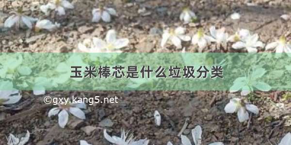 玉米棒芯是什么垃圾分类