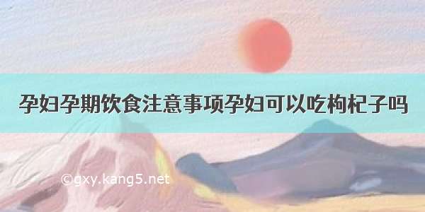 孕妇孕期饮食注意事项孕妇可以吃枸杞子吗