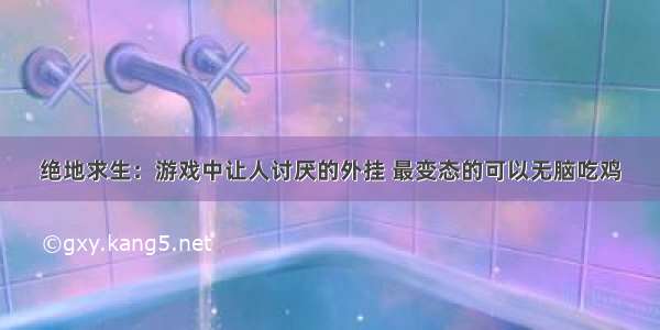 绝地求生：游戏中让人讨厌的外挂 最变态的可以无脑吃鸡