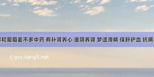 这种长得和葡萄差不多中药 有补肾养心 滋阴养肾 梦遗滑精 保肝护血 抗病毒的功效