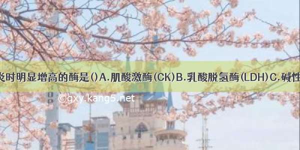 急性病毒性肝炎时明显增高的酶是()A.肌酸激酶(CK)B.乳酸脱氢酶(LDH)C.碱性磷酸酶(ALP)