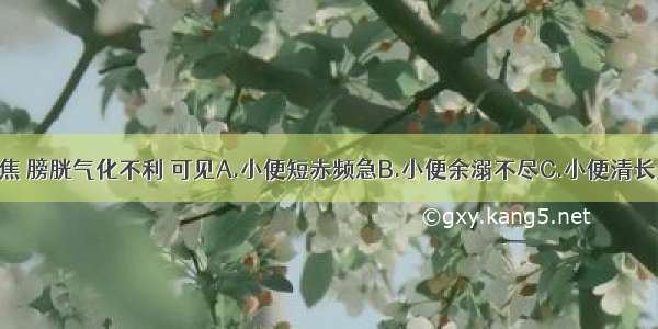 湿热蕴结下焦 膀胱气化不利 可见A.小便短赤频急B.小便余溺不尽C.小便清长量多D.小便