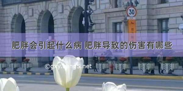 肥胖会引起什么病 肥胖导致的伤害有哪些