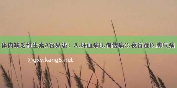 体内缺乏维生素A容易患：A.坏血病B.佝偻病C.夜盲症D.脚气病