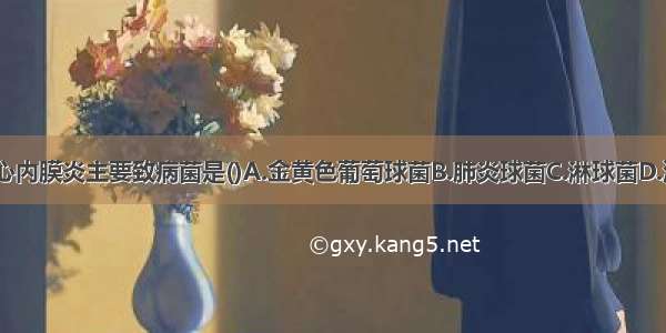 急性感染性心内膜炎主要致病菌是()A.金黄色葡萄球菌B.肺炎球菌C.淋球菌D.流感杆菌E.A