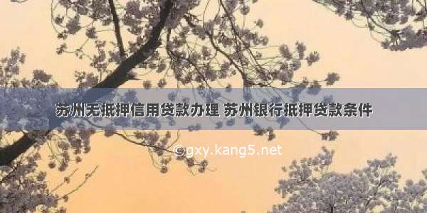 苏州无抵押信用贷款办理 苏州银行抵押贷款条件