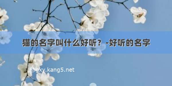 猫的名字叫什么好听？-好听的名字