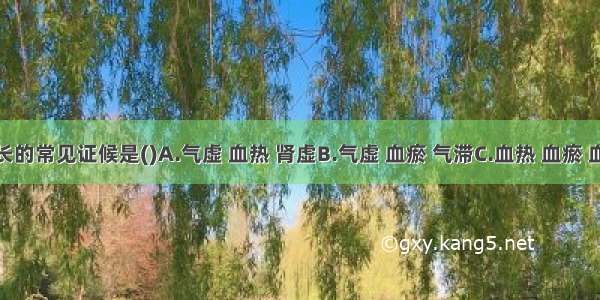 经期延长的常见证候是()A.气虚 血热 肾虚B.气虚 血瘀 气滞C.血热 血瘀 血虚D.血