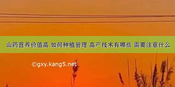 山药营养价值高 如何种植管理 高产技术有哪些 需要注意什么