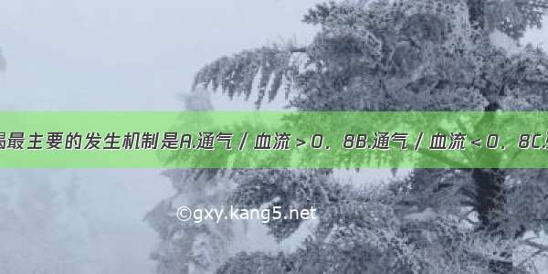 Ⅱ型呼吸衰竭最主要的发生机制是A.通气／血流＞0．8B.通气／血流＜0．8C.弥散功能障碍