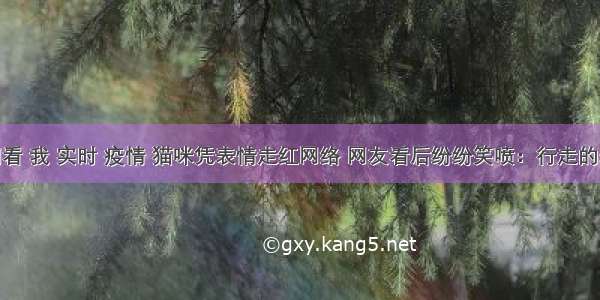 刷新 翻看 我 实时 疫情 猫咪凭表情走红网络 网友看后纷纷笑喷：行走的表情包！