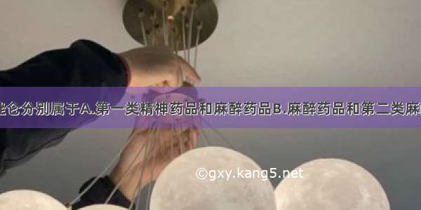 曲马多和三唑仑分别属于A.第一类精神药品和麻醉药品B.麻醉药品和第二类麻醉药品C.第二