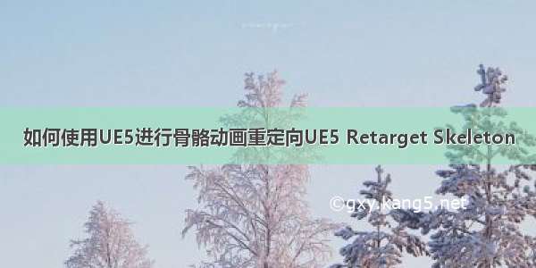 如何使用UE5进行骨骼动画重定向UE5 Retarget Skeleton