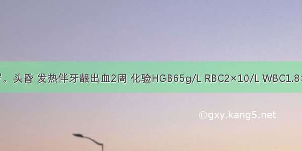 女性 32岁。头昏 发热伴牙龈出血2周 化验HGB65g/L RBC2×10/L WBC1.8×10/L PLT