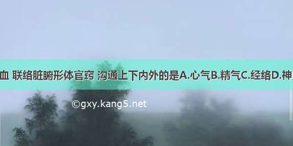 运行全身气血 联络脏腑形体官窍 沟通上下内外的是A.心气B.精气C.经络D.神E.气ABCDE